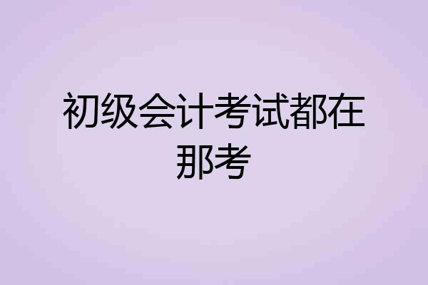 初级会计考试都在那考