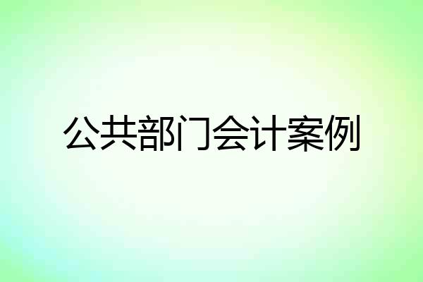 公共部门会计案例