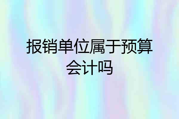 报销单位属于预算会计吗