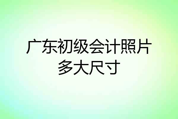 广东初级会计照片多大尺寸