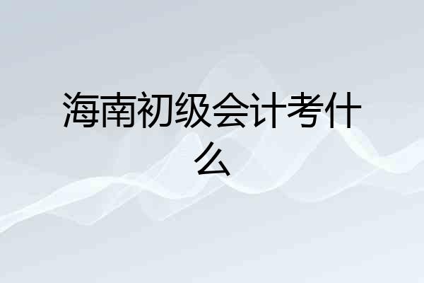海南初级会计考什么