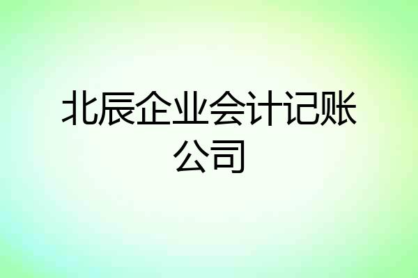 北辰企业会计记账公司