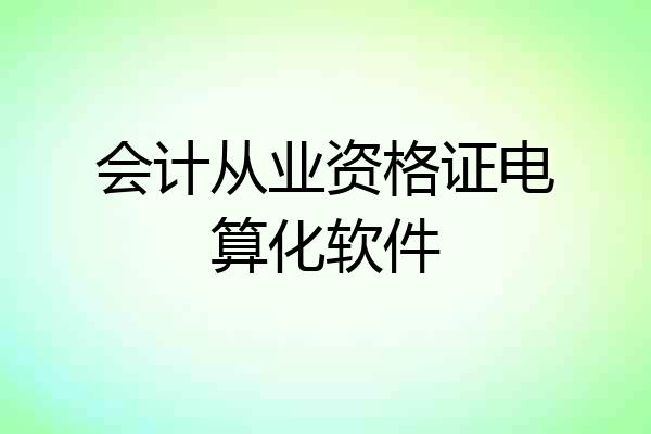 会计从业资格证电算化软件