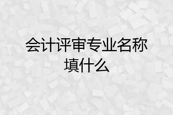 会计评审专业名称填什么
