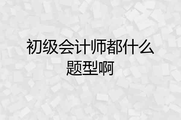 初级会计师都什么题型啊