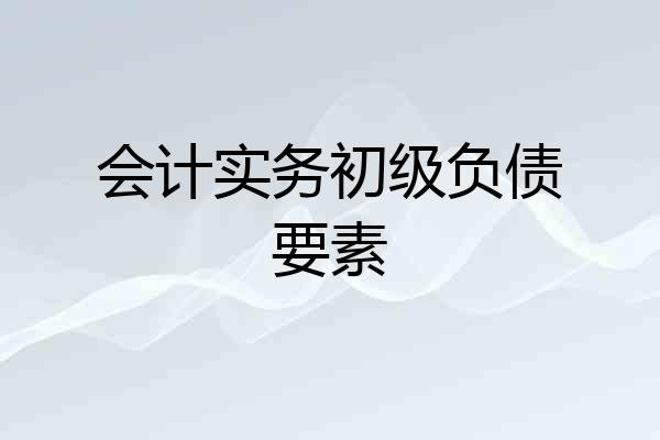 会计实务初级负债要素