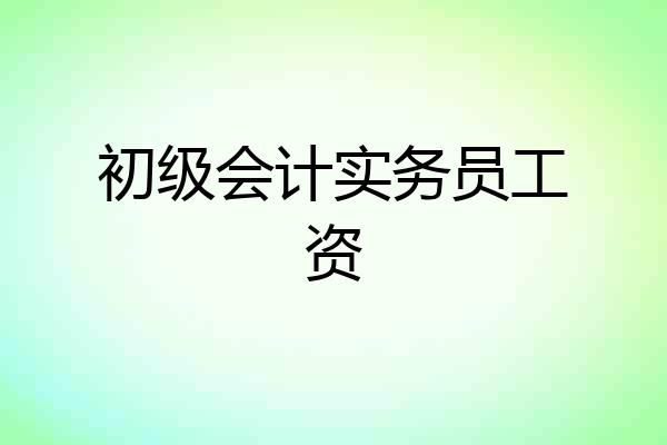 初级会计实务员工资