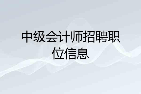 中级会计师招聘职位信息