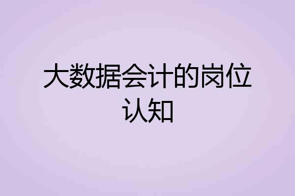 大数据会计的岗位认知