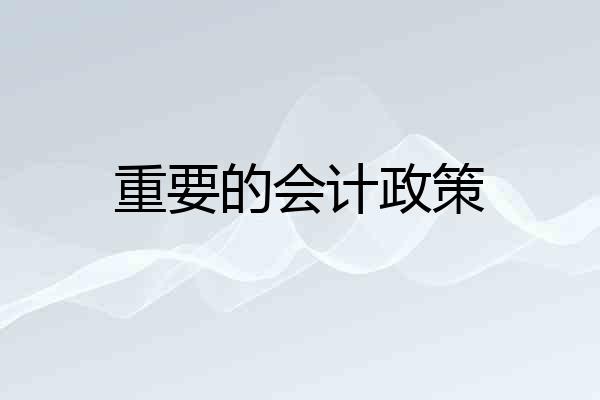 重要的会计政策