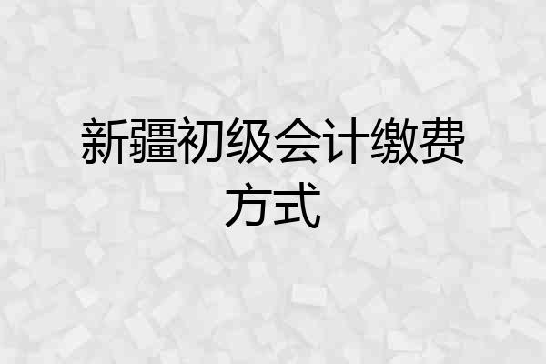 新疆初级会计缴费方式