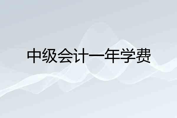 中级会计一年学费