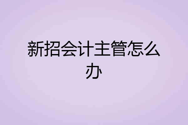 新招会计主管怎么办