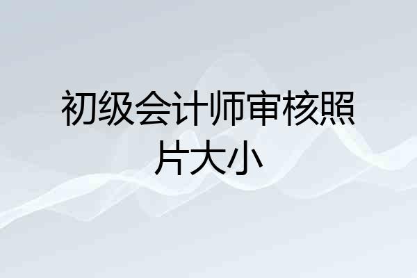 初级会计师审核照片大小