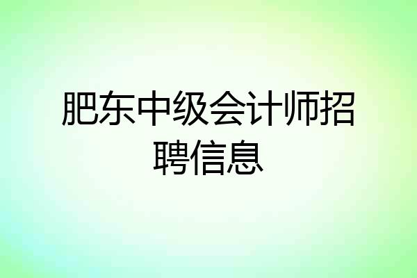 肥东中级会计师招聘信息