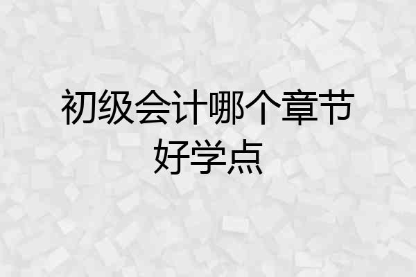 初级会计哪个章节好学点