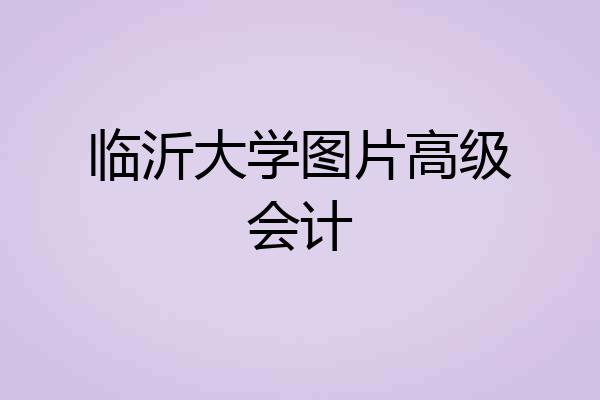 临沂大学图片高级会计
