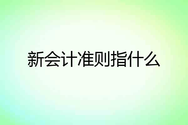 新会计准则指什么