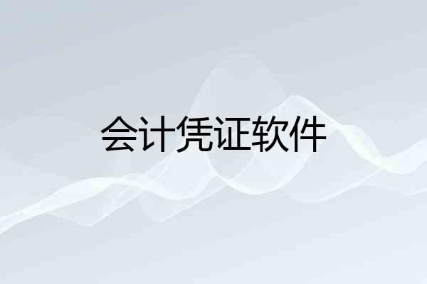 会计凭证软件