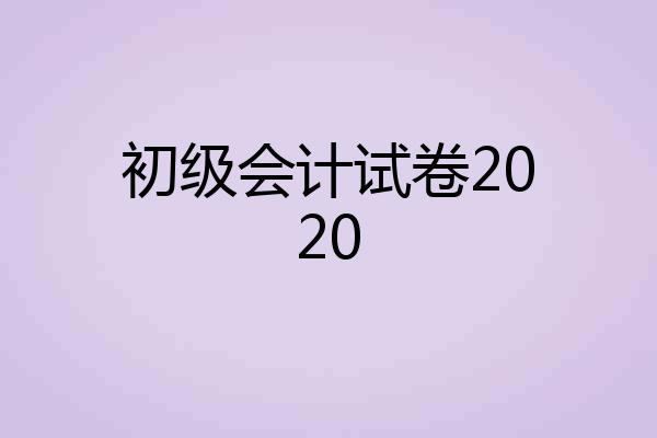初级会计试卷2020