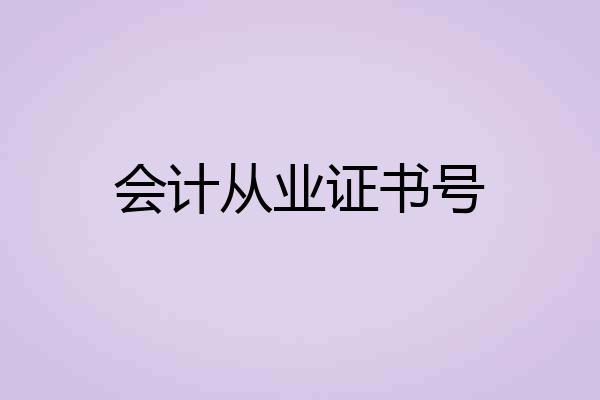 会计从业证书号
