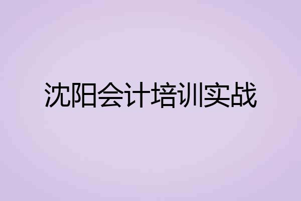 沈阳会计培训实战