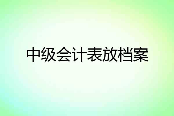 中级会计表放档案