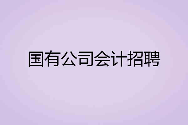国有公司会计招聘
