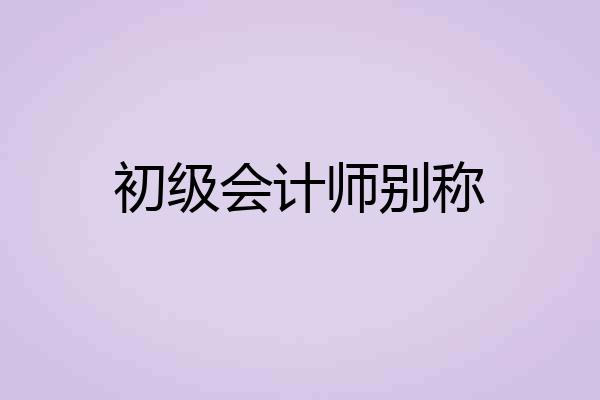 初级会计师别称