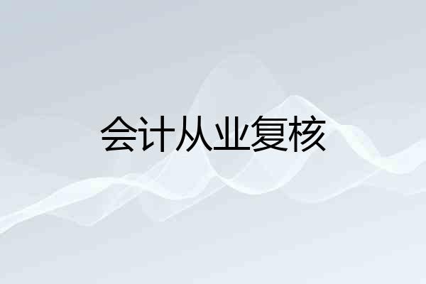 会计从业复核