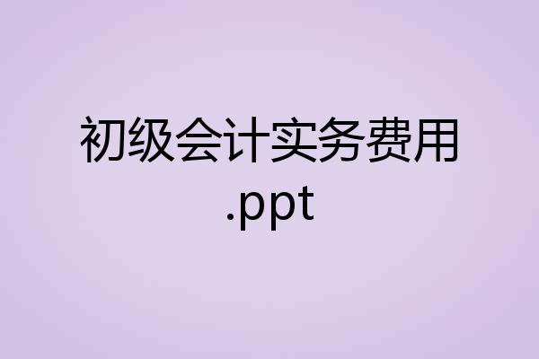 初级会计实务费用.ppt