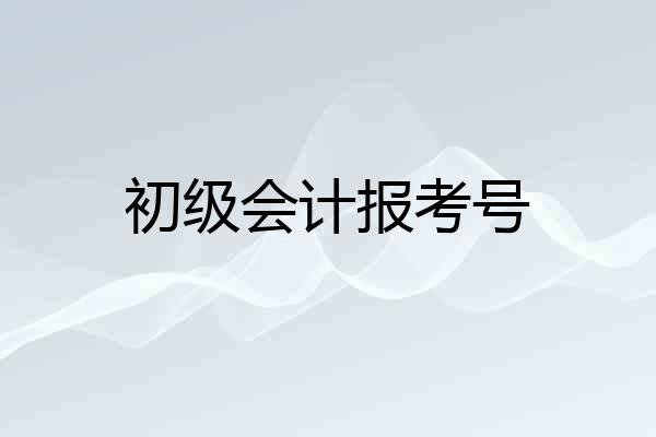 初级会计报考号