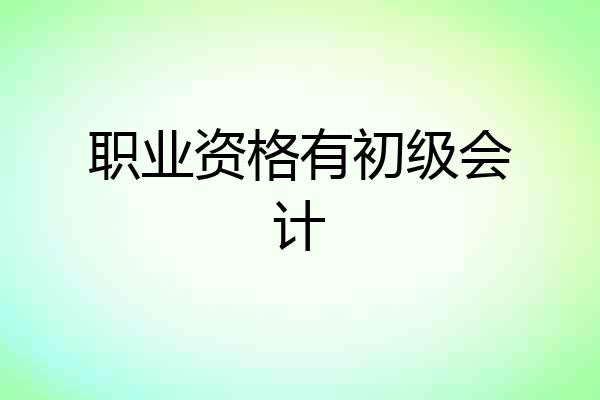 职业资格有初级会计