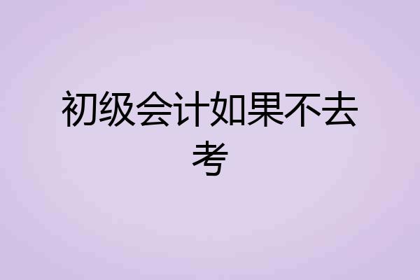 初级会计如果不去考