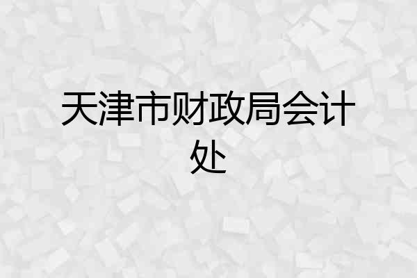 天津市财政局会计处