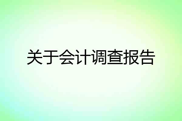 关于会计调查报告