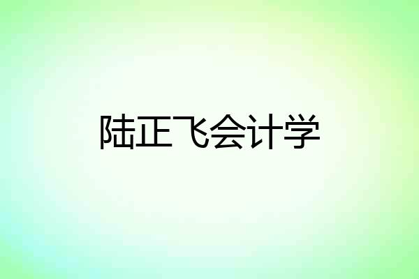 陆正飞会计学