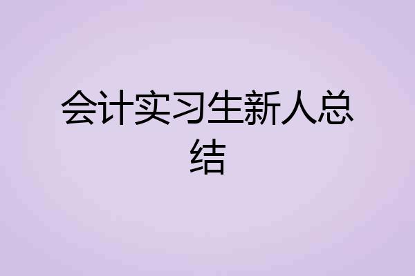 会计实习生新人总结