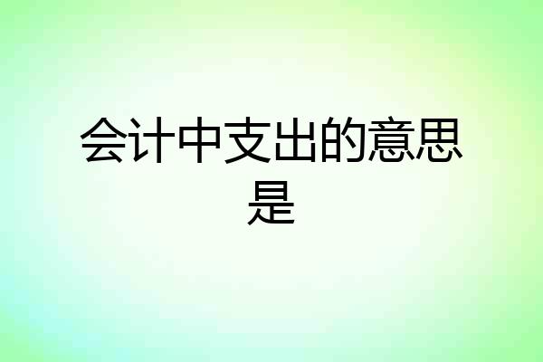 会计中支出的意思是
