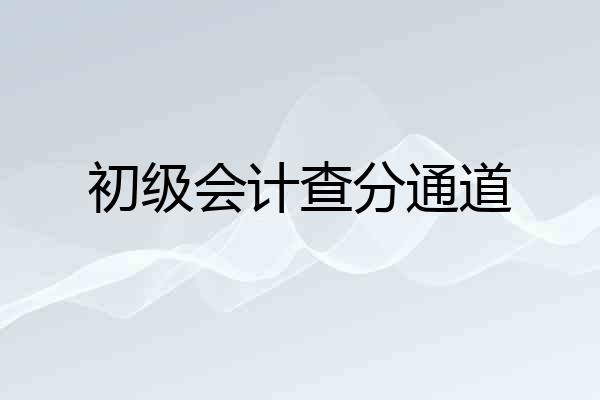 初级会计查分通道