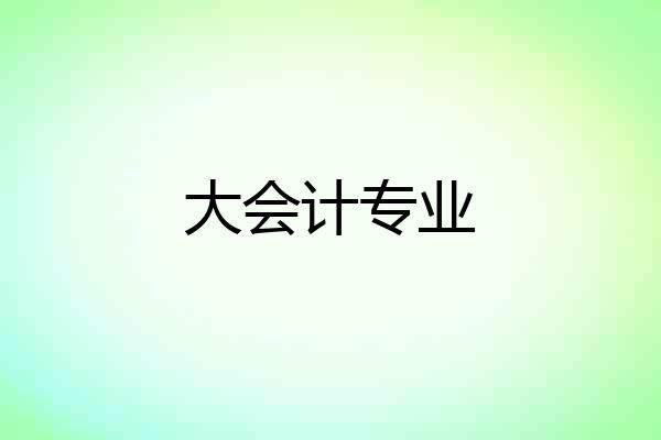 大会计专业