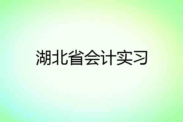 湖北省会计实习