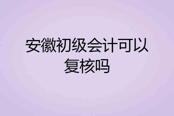 安徽初级会计可以复核吗