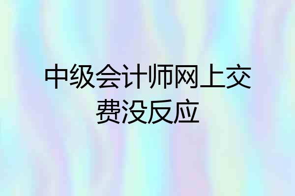 中级会计师网上交费没反应
