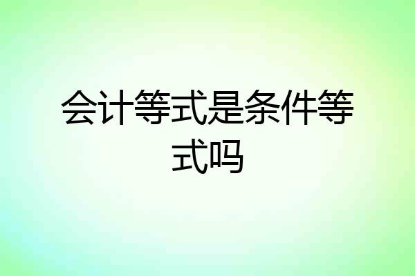 会计等式是条件等式吗