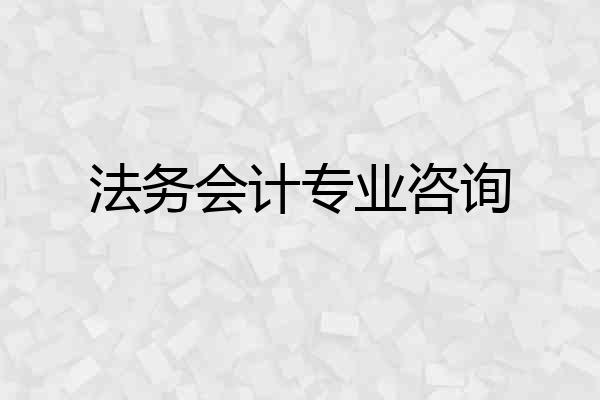 法务会计专业咨询