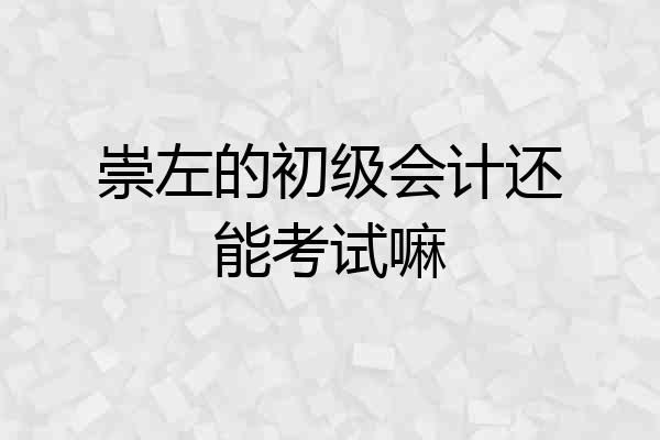 崇左的初级会计还能考试嘛