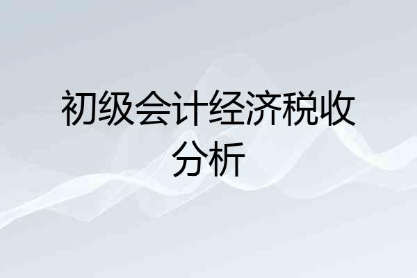 初级会计经济税收分析