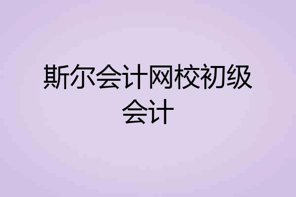 斯尔会计网校初级会计