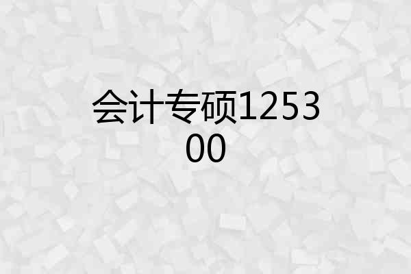 会计专硕125300